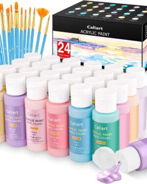 Acrylic Paint Set With 12 Brushes, 24 Colors (59ml, 2oz) Art Craft Paints for Adults