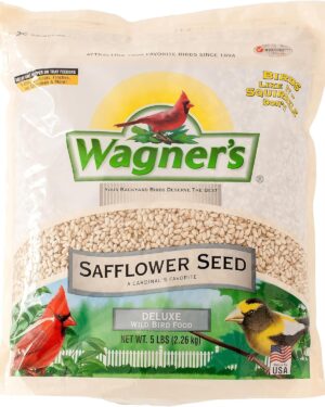 Wagner's 57075 Safflower Seed Wild Bird Food, 5 Pound (Pack of 1)