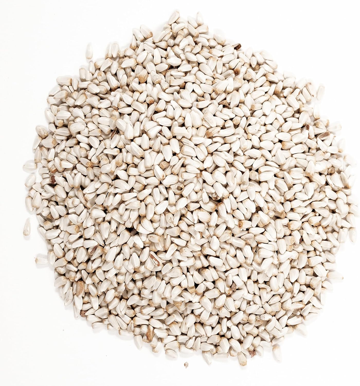 Wagner's 57075 Safflower Seed Wild Bird Food, 5 Pound (Pack of 1) - Image 3